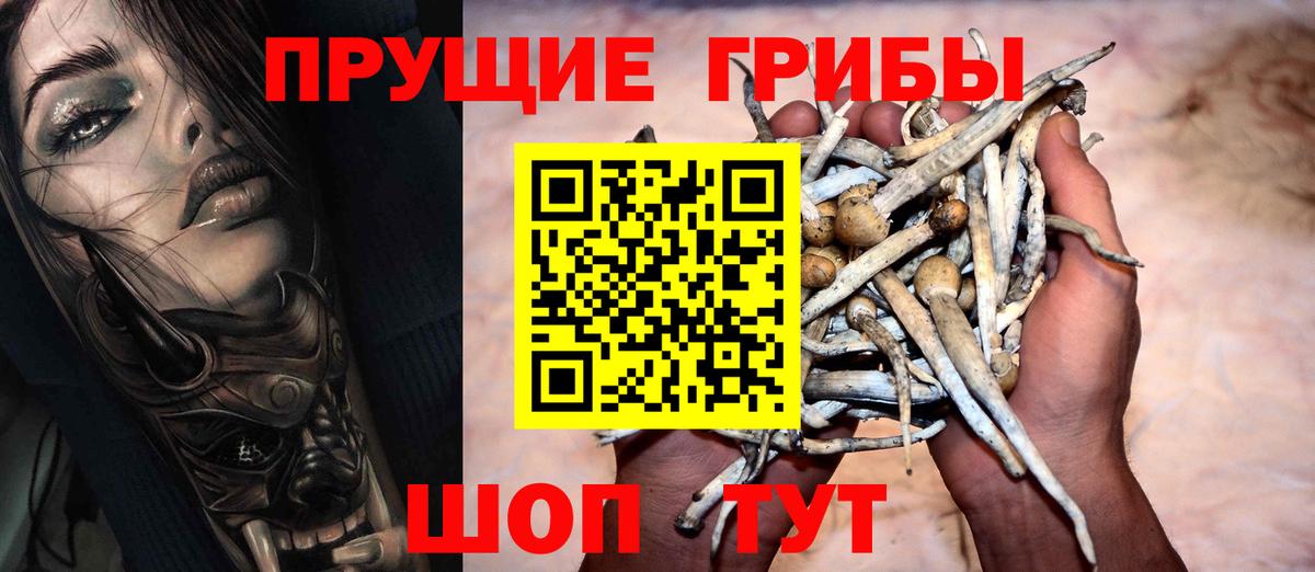 Бугульма  Галлюциногенные грибы Cubensis  Вход с VPN  Псилоцибиновые грибы GOLDEN TEACHER 
