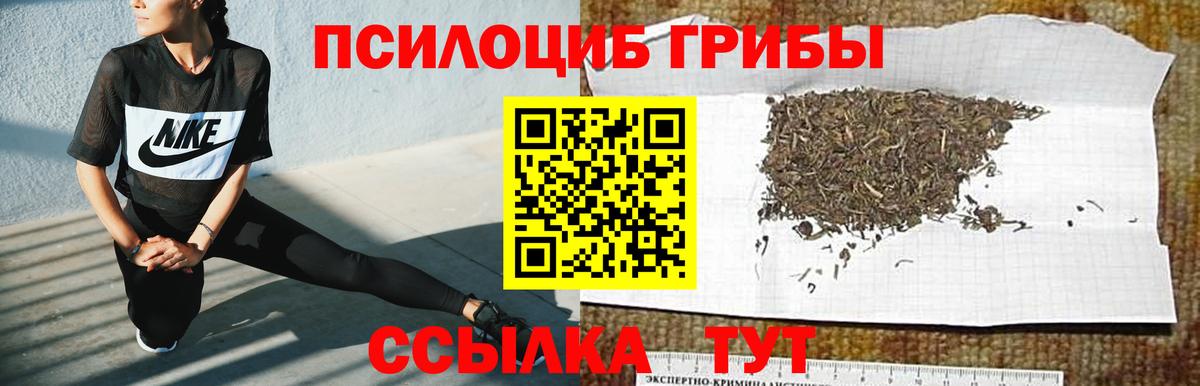Псилоцибиновые грибы мухоморы Бугульма